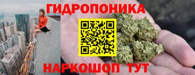 ГАЛЛЮЦИНОГЕННЫЕ ГРИБЫ Канаш