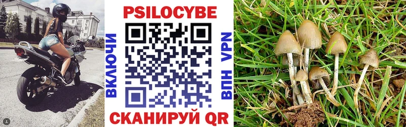 Галлюциногенные грибы Magic Shrooms  Михайловка 