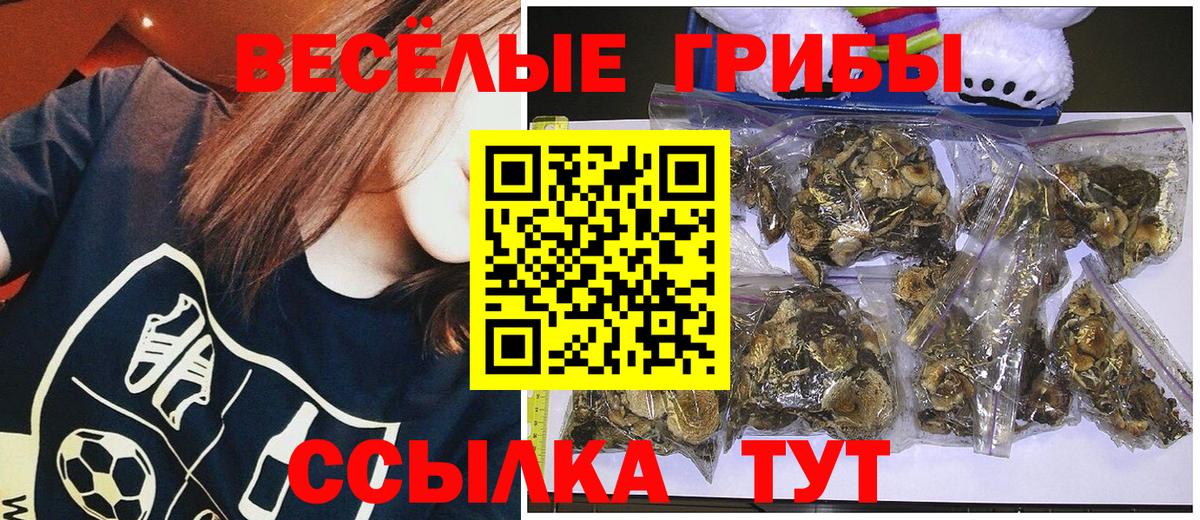 Галлюциногенные грибы прущие грибы  Вход с VPN  Михайловка 