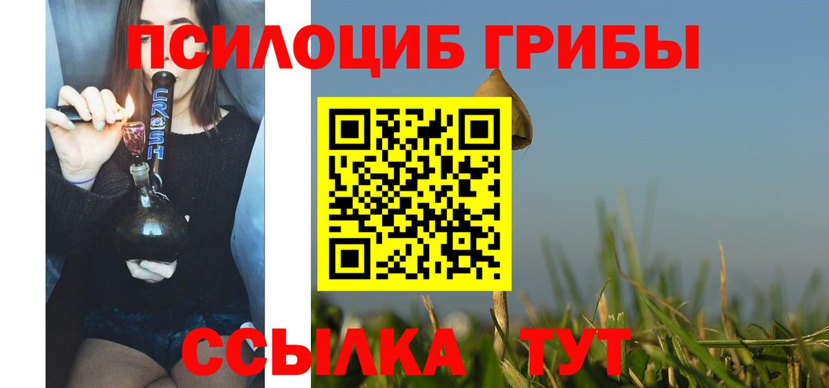 Галлюциногенные грибы Psilocybe Михайловка