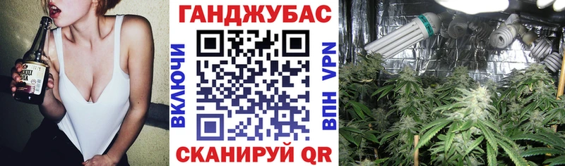 Бошки Шишки план Михайловка