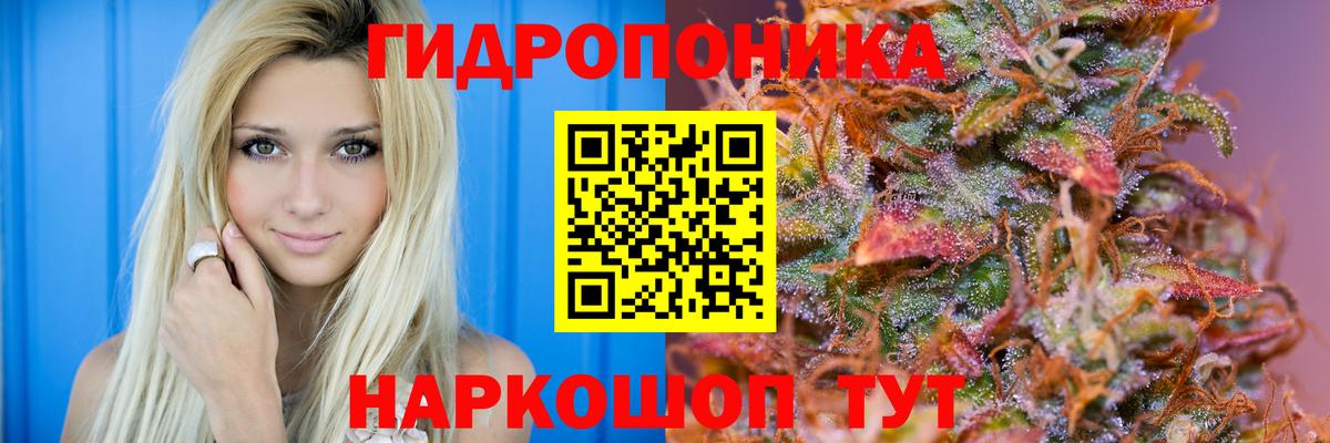 Михайловка  Бошки марихуана сатива  Вход с VPN  Каннабис OG Kush 
